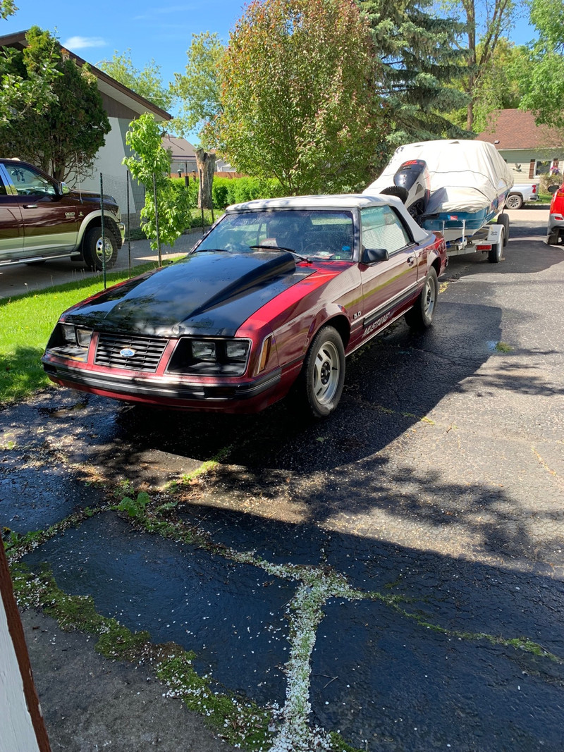 83 Mustang Convertible 5.0 Classic Cars Thunder Bay Kijiji