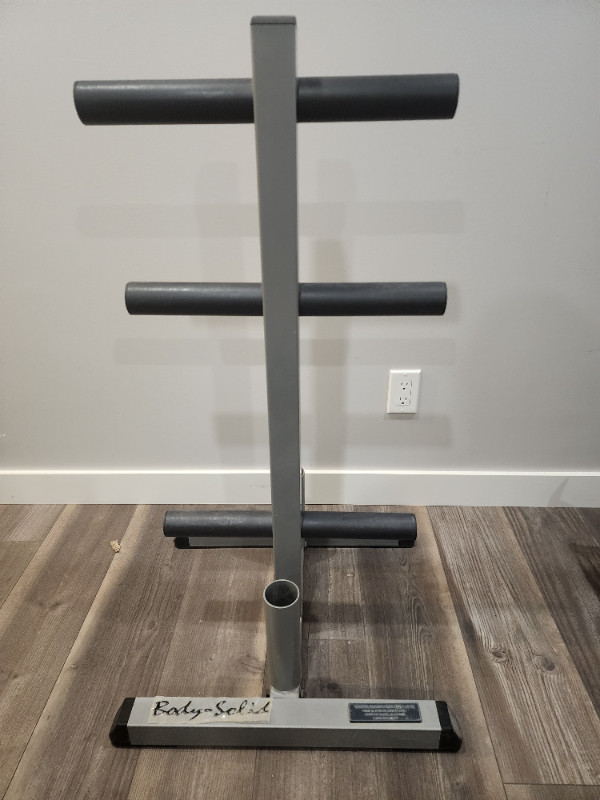 Olympic Weight Plate Tree - Body Solid in Exercise Equipment in Calgary - Image 3