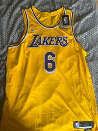 Lakers James Jersey authentic 52 Icon Edition