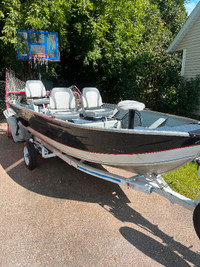 14’ boat with brand new 20hp electric start mercury
