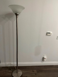 Sturdy Floor lamp in attractive brushed chrome finish.