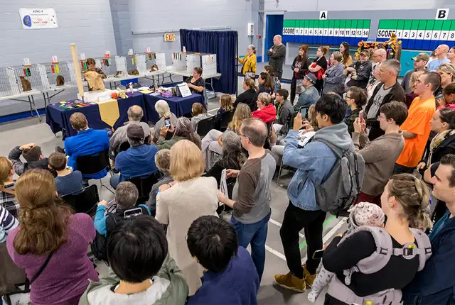 Ottawa Cat Show561546786673807362