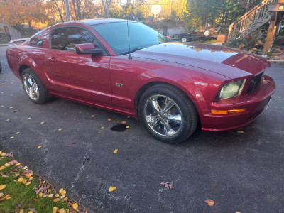 2007 MUSTANG GT