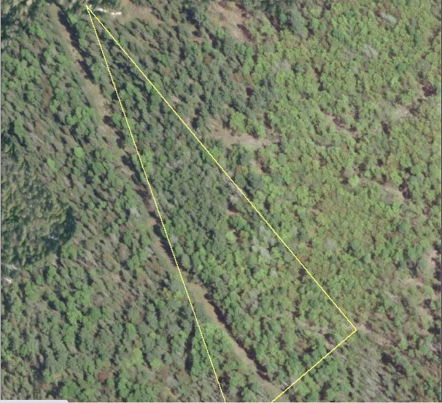 Five acres of forest land Land for Sale Ottawa Kijiji