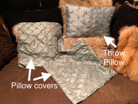 1 throw pillow and  2 pillow covers