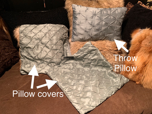 1 throw pillow and  2 pillow covers in Other in Kitchener / Waterloo