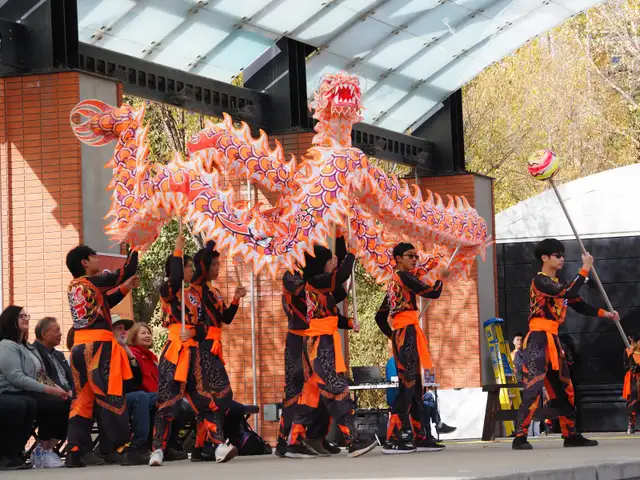 Lion Dance & Dragon Dance Classes – Edmonton | Spring 2026441533935355832325