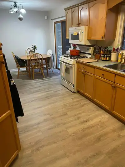 Are you a group of 5 nice, responsible 1st year students looking for a great house just 5 minutes fr...