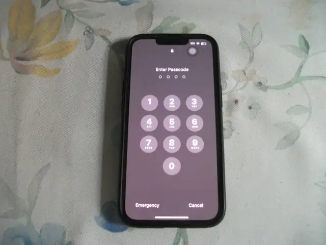 Iphone 13 128 gb in excellence condition always in the case and64656290047873120