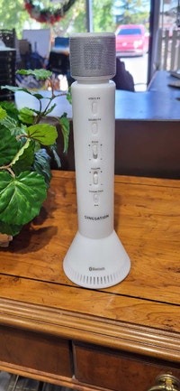 Singsation Karaoke Microphone Calgary Alberta Preview
