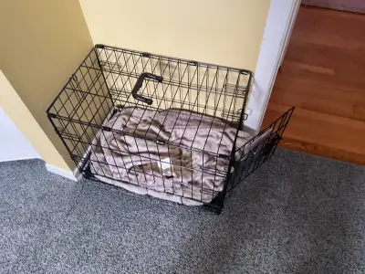 NEW DOG CRATE -       22” long   14” high, View more