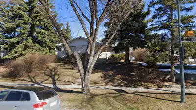 Room for Rent – Close to University of Calgary & Market Mall | Available March 1 Private room for re...