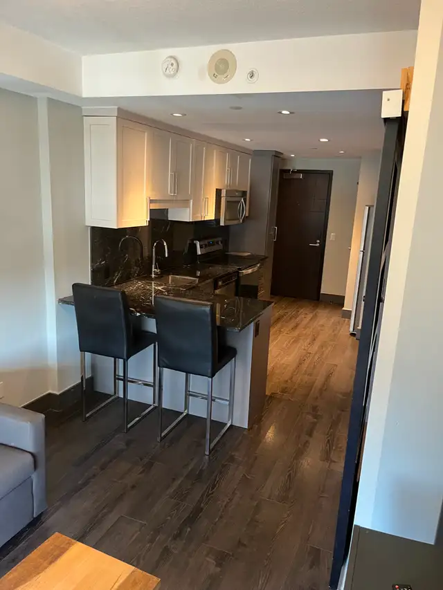 Apartment for Rent! in Long Term Rentals in Kitchener / Waterloo - Image 9