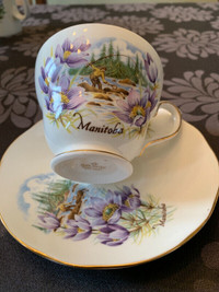 Duchess Manitoba Bone China Tea Cup and Saucer Tasse à thé