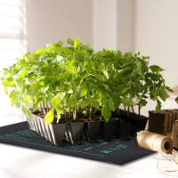 Heating Mat For Indoor Plant $20 & Growing Light And Socket $30