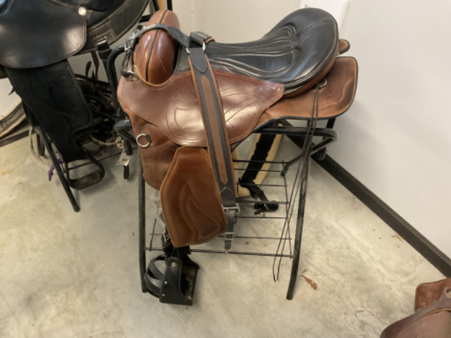 Sensation saddle in Equestrian & Livestock Accessories in Calgary