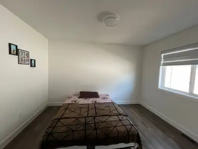 room for rent
