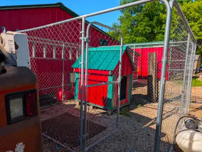 Dog pen with dog house.  Fire hydrant goes with it., View more