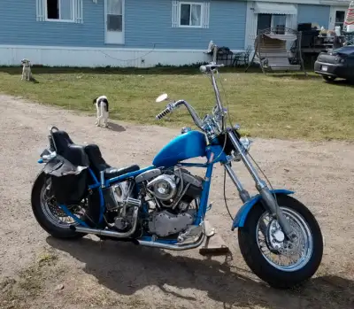 Registered as a 2001 but is a 1988, lost original tag. Classic Pan Shovel built with Delkron cases,...