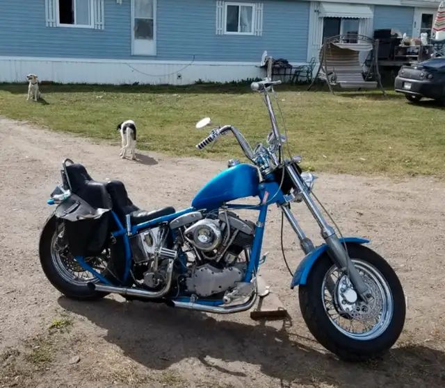 Harley-Davidson Enthusiasts in Street, Cruisers & Choppers in Red Deer - Image 2