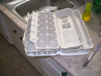 Free EGG CARTONS AND PLASTIC CONTAINERS