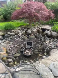 Pond cleaning and repair 
