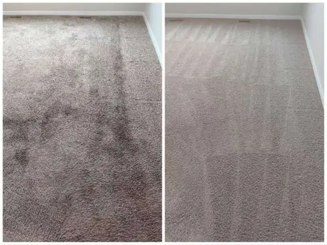 BEST MACHINE Truck-mount Carpet Steam Cleaning DEEP CLEAN in Cleaners & Cleaning in Calgary - Image 8