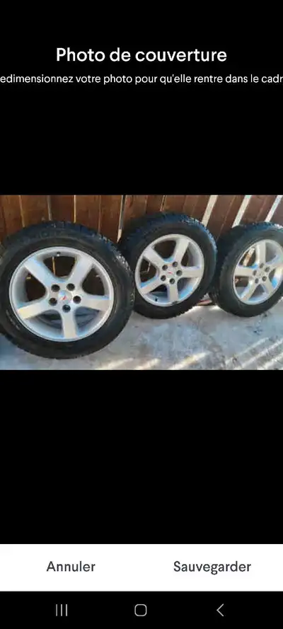 J'ai un ensemble de pneus d'hiver Ecovision de dimension 225/60R17 montés sur des jantes de Pontiac...