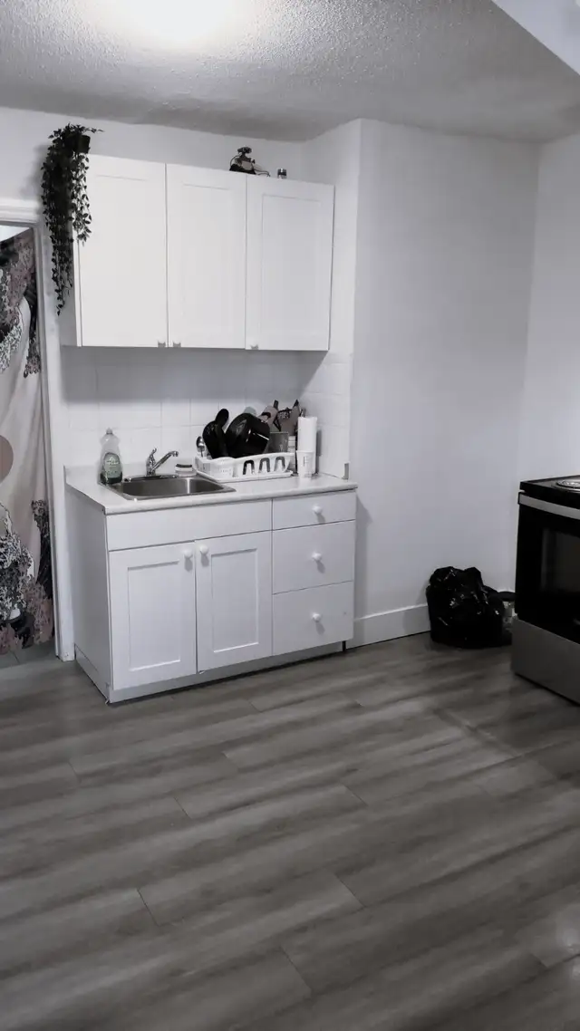 Spacious Top Floor 1-Bedroom + Den ($1500/month Inclusive)62864383521795123