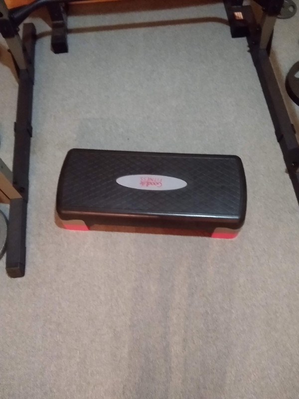 barbell, squat bar, weights, gym stuff Exercise Equipment Ottawa