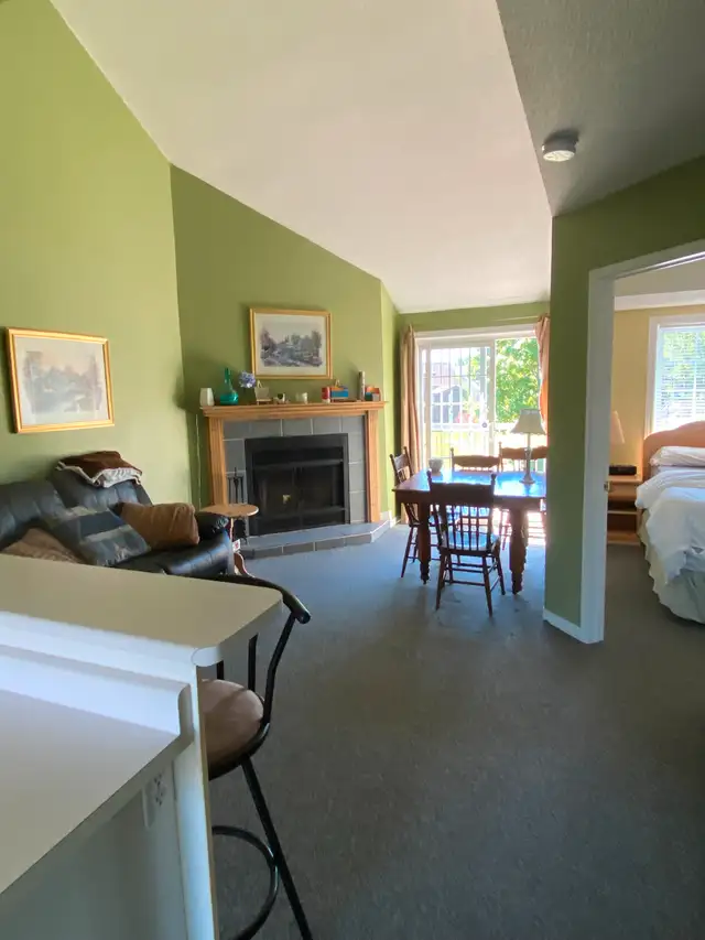 Blue Mountain Rental in Ontario in Canada - Image 9
