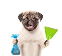 Poop scoop services - Dog cleanup 