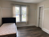 Student Room Rental in Downtown (Conestoga or Laurier)