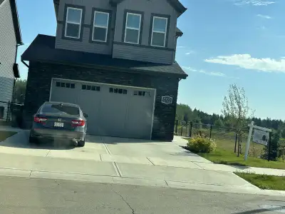 Wanted: $25 per hour for cleaning and household organize, View more