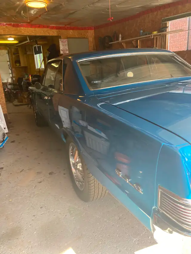 Gto for sale