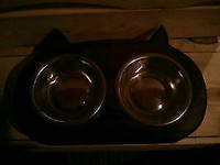 Cat Food & Water Dish
