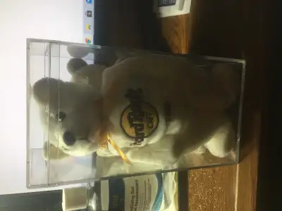 Hard rock café bear, View more