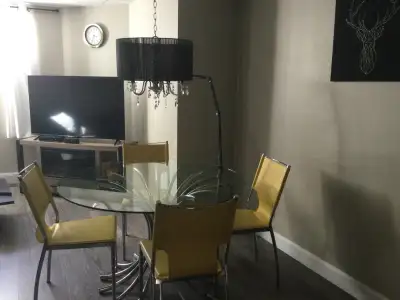 3 1/2 meublé à louer du dimanche au vendredi. Tout compris: poêle, frigo, lave-vaisselle,micro-ondes...