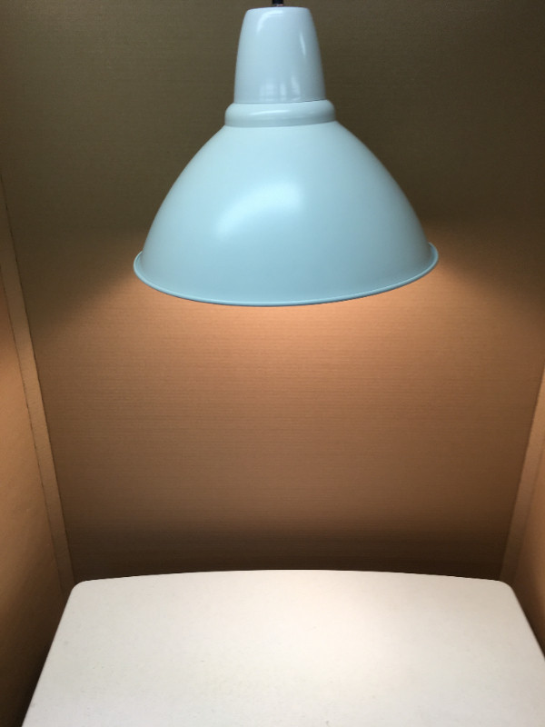IKEA "Foto" Pendant Lamp in Indoor Lighting & Fans in Napanee