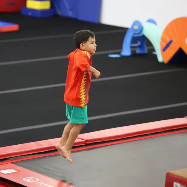 Gymnastics Private Lessons532551192754278403