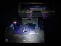 StarCraft II - Heart Of The Swarm Collectors Edition