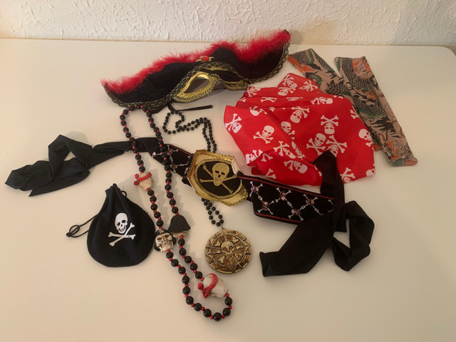 Pirate Costume in Costumes in Winnipeg
