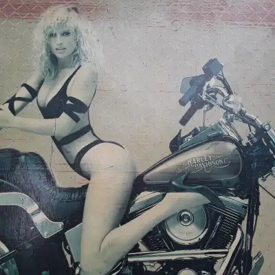 vieux poster en carton moto softail Harley Davidson voir photos ,