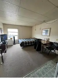 Short Term Fully Furnished Bachelor Suite Apartment