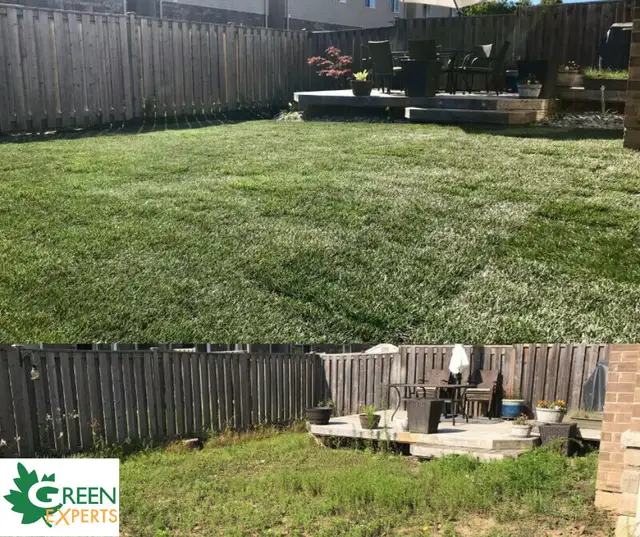 LANDSCAPING SERVICES - SOD INSTALL FENCES PAVER PATIO  GRADING62863242856577121