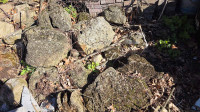 Limestone rocks for gsrdens
