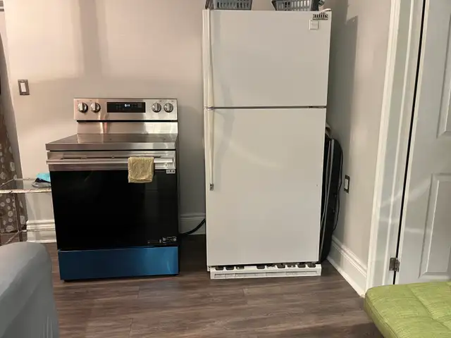 Bright & Spacious Basement for Rent – Oshawa/Whitby Border in Room Rentals & Roommates in Oshawa / Durham Region - Image 9