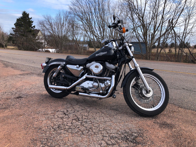1992 HD Sportster 1200 conversion  in Street, Cruisers & Choppers in Charlottetown - Image 2