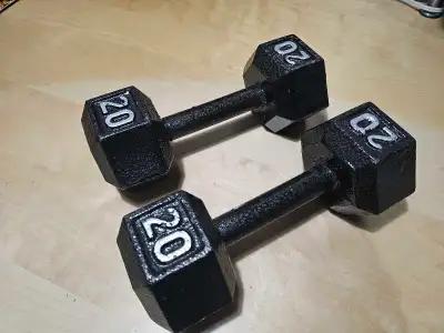 20 LB DUMBBELLS PAIR , View more