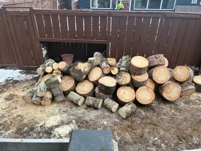 free firewood @ 1428 Carlyle road sw, View more